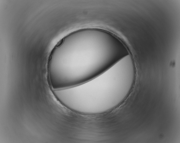 X0000110871512200906180957