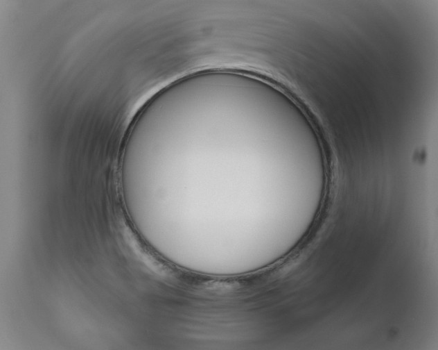 X0000110871513200906180957