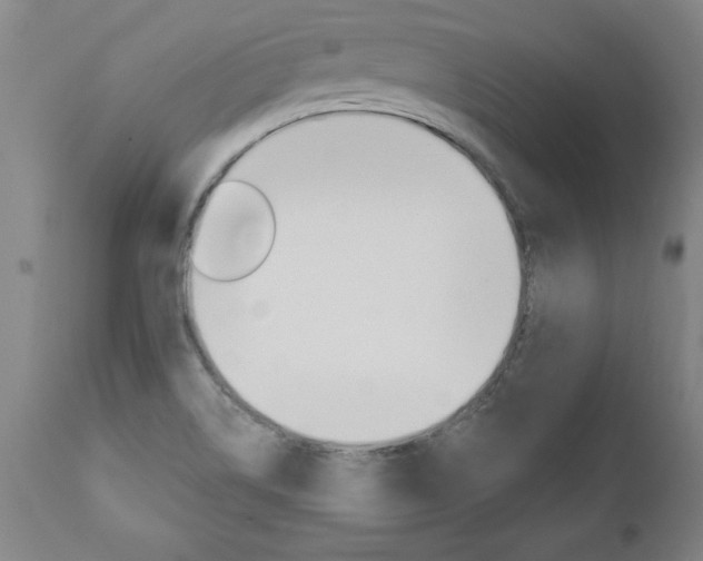 X0000110871514200906180957