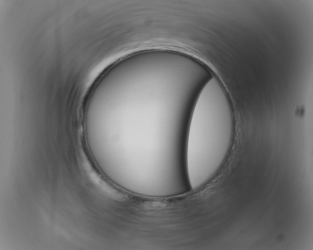 X0000110871515200906180957