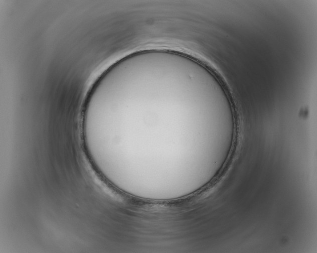 X0000110871517200906180957
