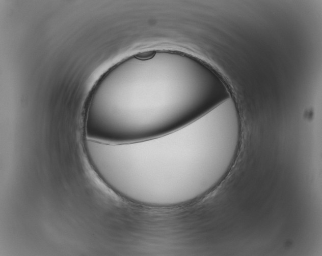 X0000110871518200906180957