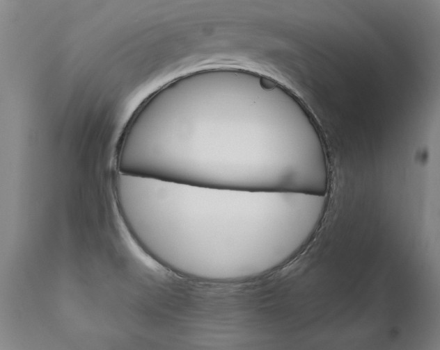 X0000110871519200906180957