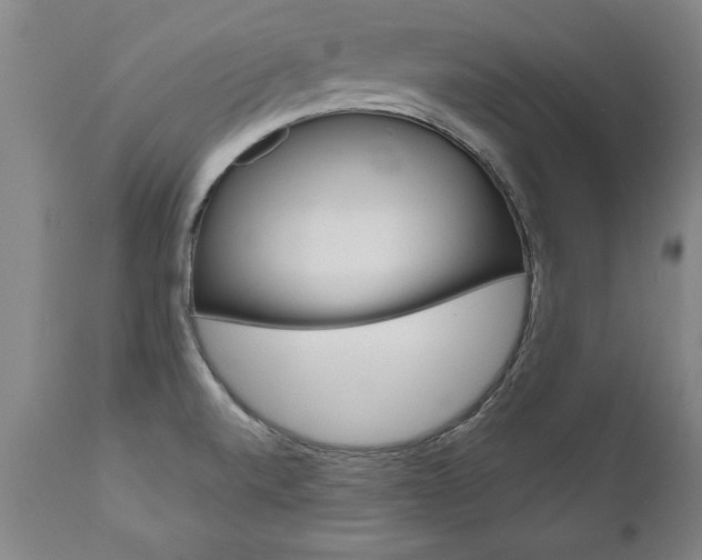 X0000110871520200906180957