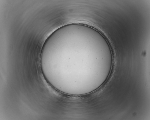 X0000110871521200906180957