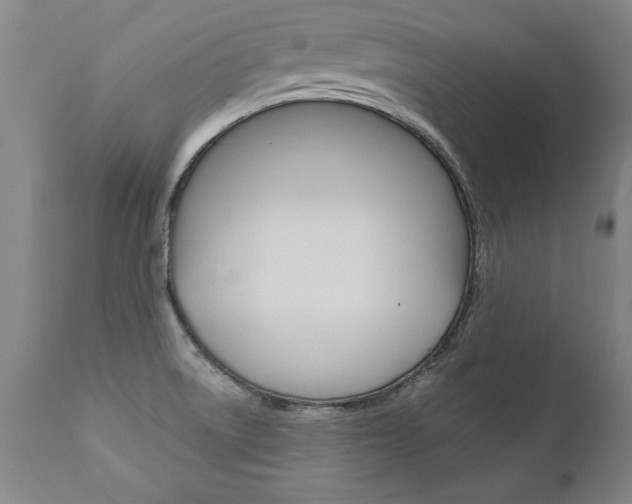 X0000110871522200906180957