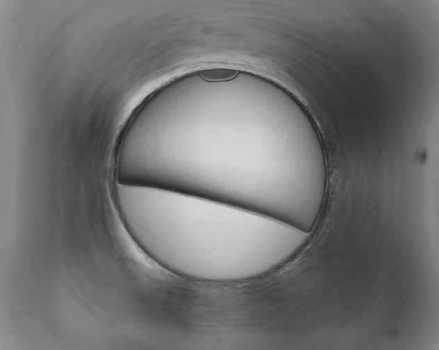 X0000110871523200906180957