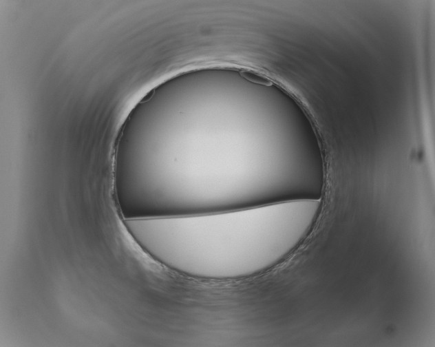 X0000110871524200906180957