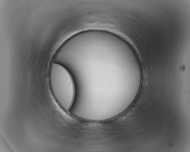 X0000110871525200906180957
