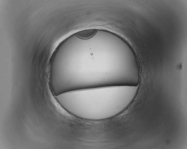 X0000110871526200906180957