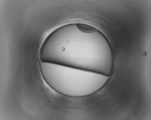X0000110871527200906180957
