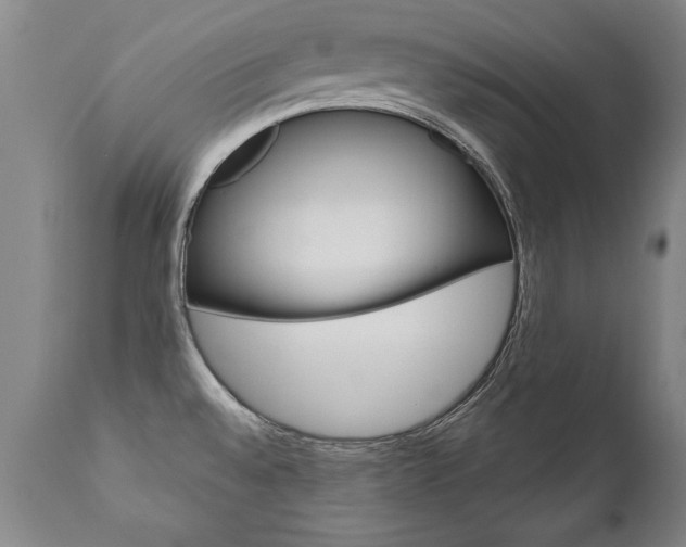 X0000110871528200906180957