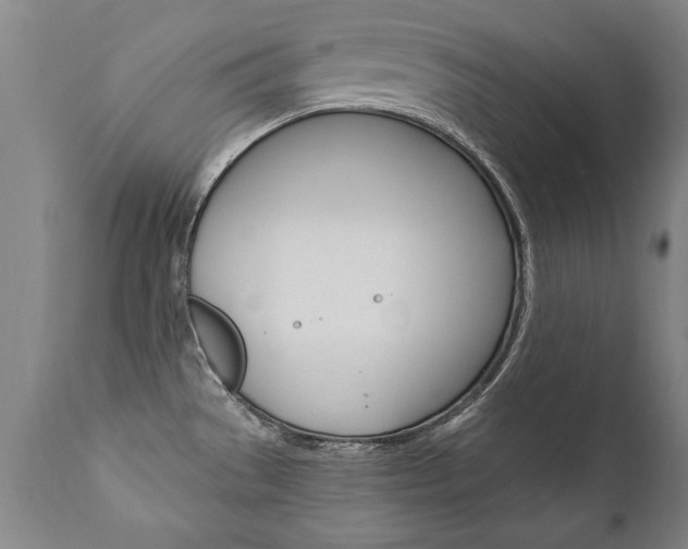 X0000110871529200906180957