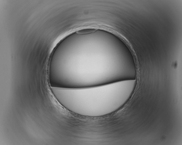 X0000110871530200906180957
