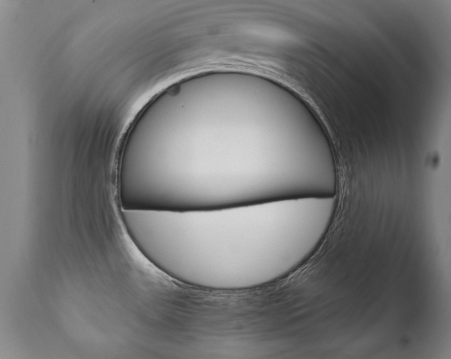 X0000110871531200906180957