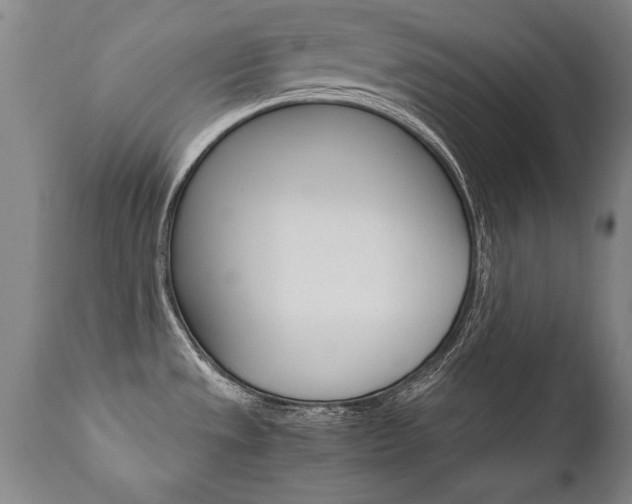 X0000110871533200906180957