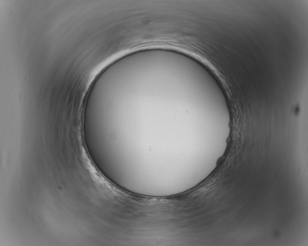 X0000110871534200906180957