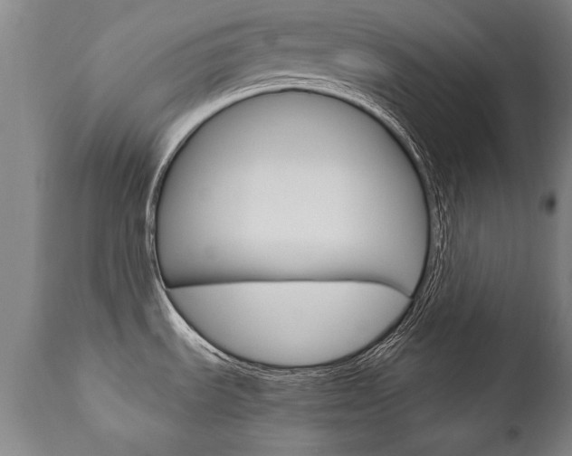 X0000110871535200906180957