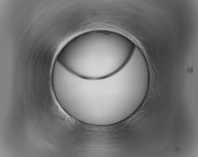 X0000110871536200906180957
