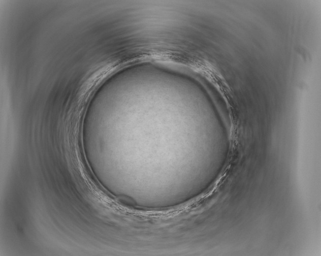 X0000110870001200906181212