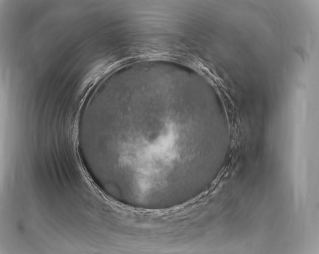 X0000110870002200906181212