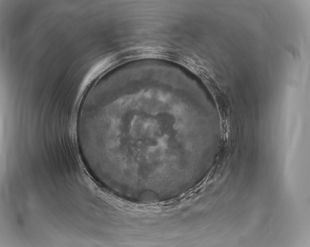 X0000110870004200906181211