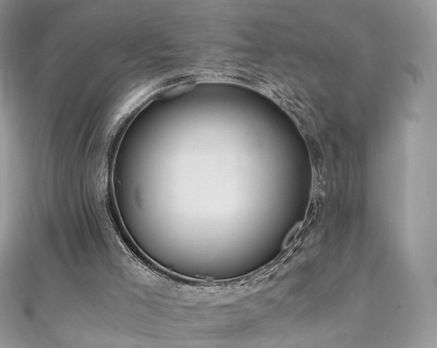 X0000110870005200906181211