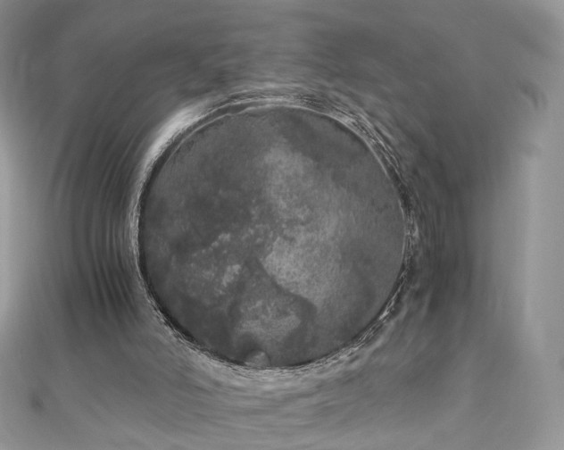 X0000110870006200906181211