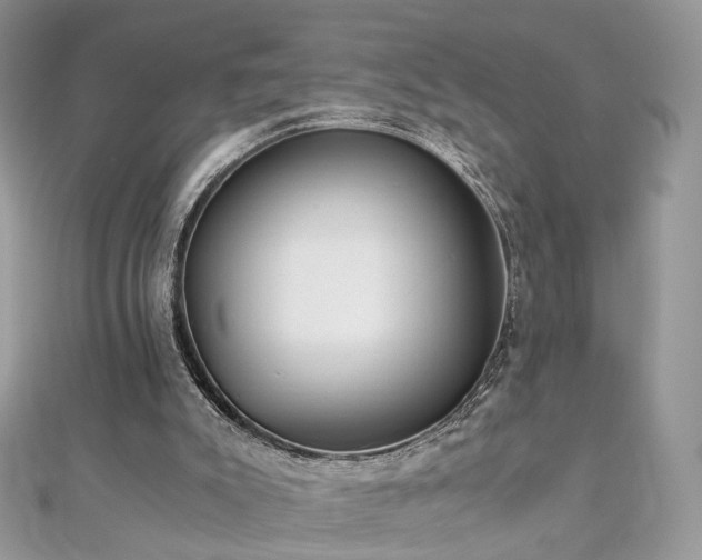 X0000110870007200906181211