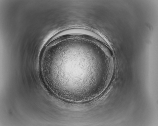 X0000110870008200906181211