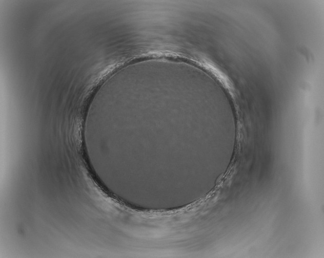 X0000110870009200906181211