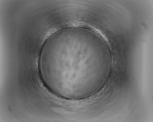 X0000110870010200906181211