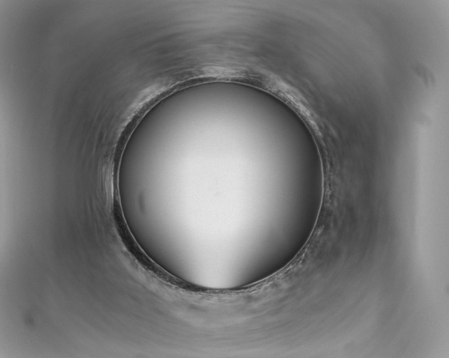 X0000110870011200906181211