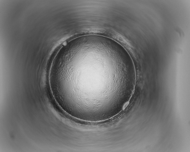 X0000110870012200906181211