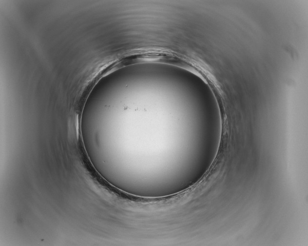 X0000110870013200906181211