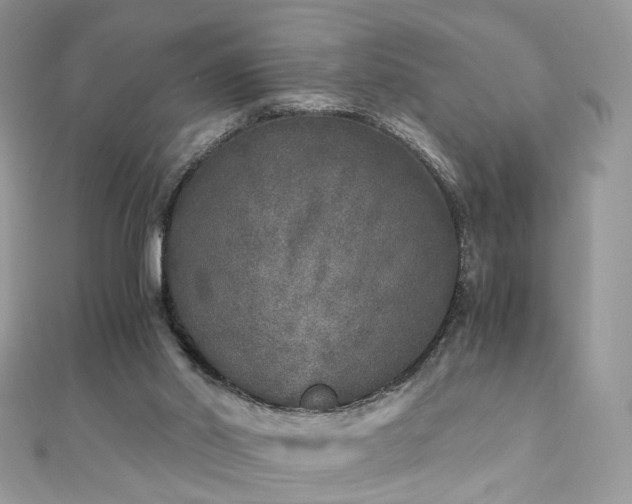 X0000110870014200906181211