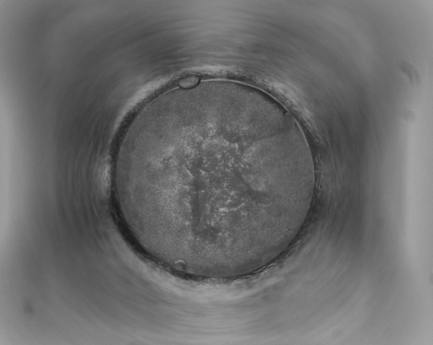 X0000110870016200906181211