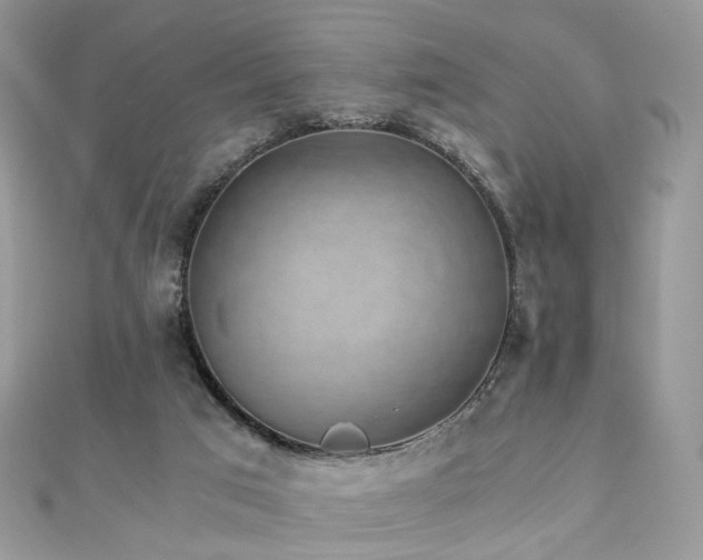 X0000110870017200906181211