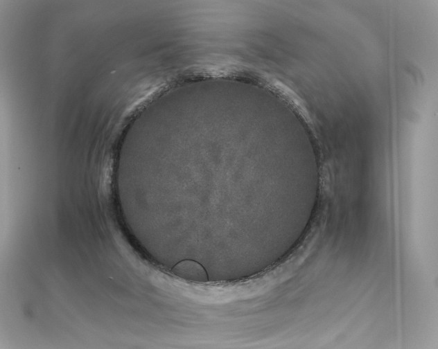 X0000110870018200906181211