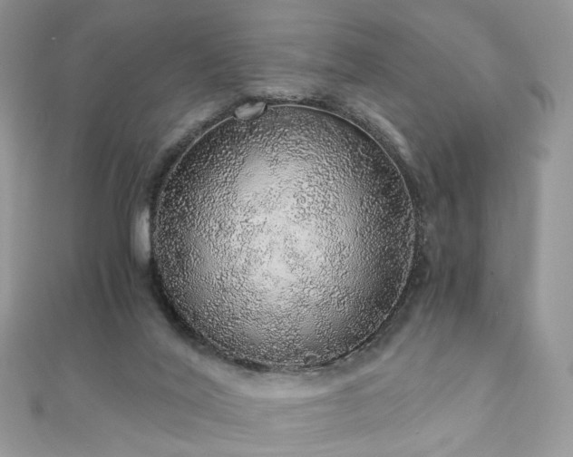 X0000110870020200906181211