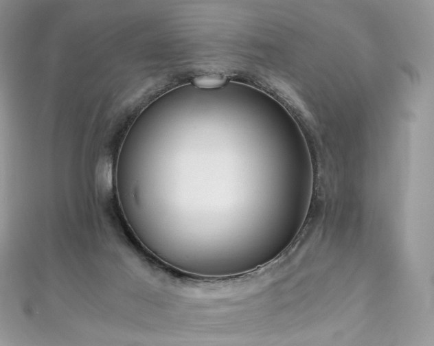 X0000110870021200906181211