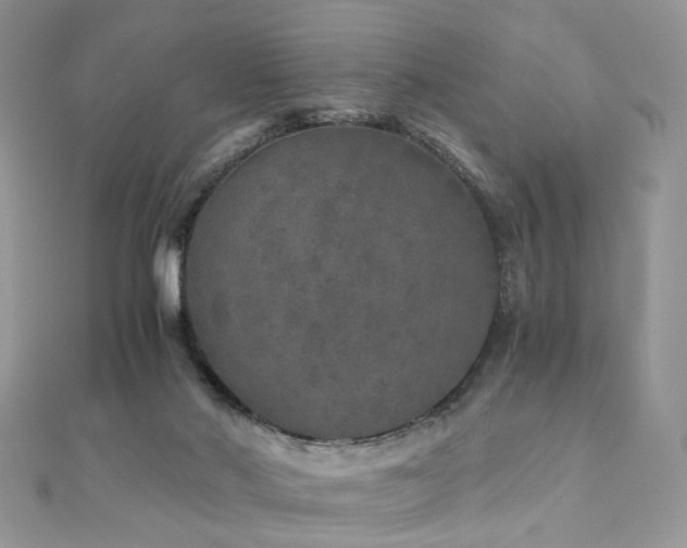 X0000110870022200906181211