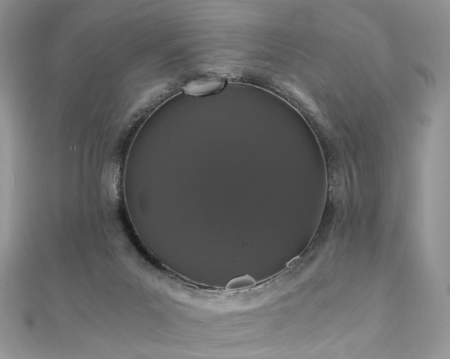 X0000110870023200906181211