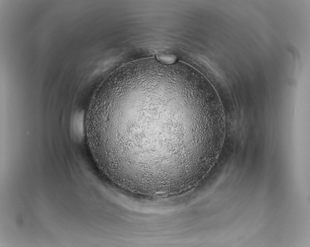 X0000110870028200906181211