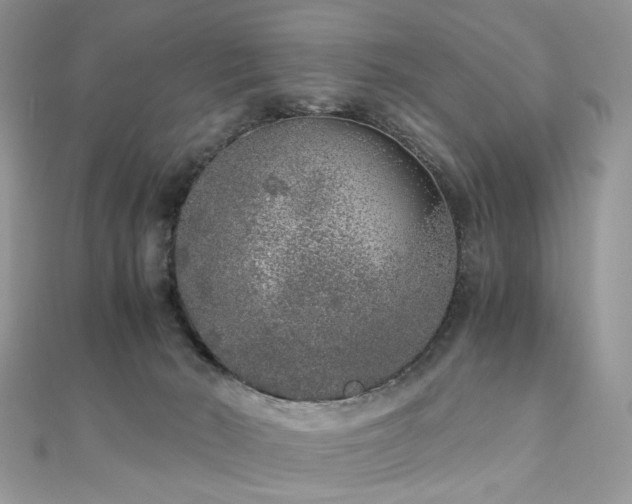 X0000110870030200906181211