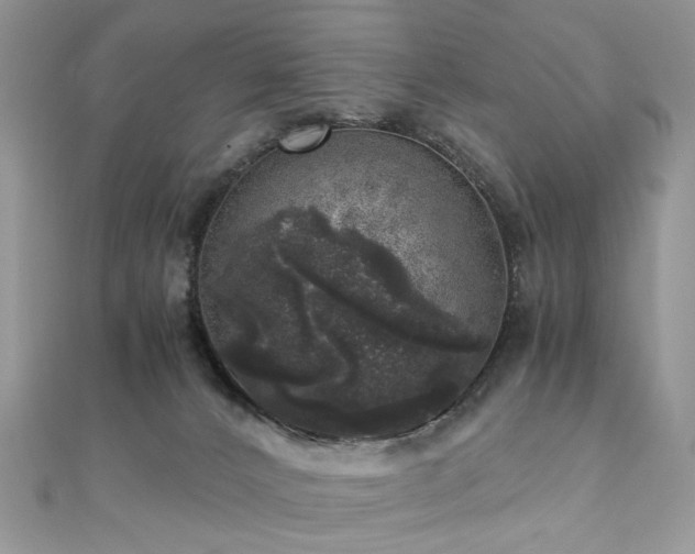 X0000110870032200906181211