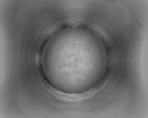 X0000110870034200906181211