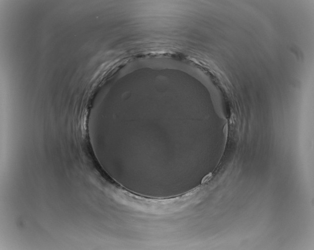 X0000110870035200906181211