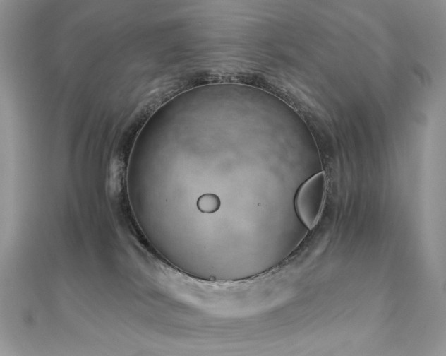 X0000110870038200906181211