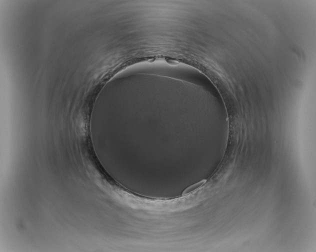 X0000110870039200906181211